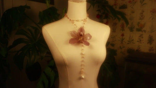 Orchid Fever