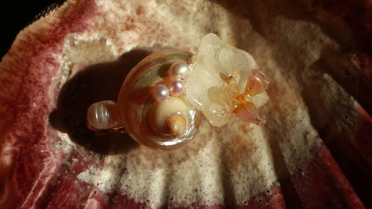 Orchid & Shell Clip