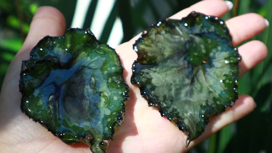 Begonia Rex Earrings